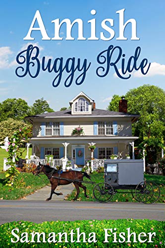 Book Cover Amish Buggy Ride (Amish Homestead Book 1)