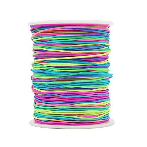 Book Cover Tenn Well 1mm Elastic String for Bracelets, 328 Feet Rainbow Stretchy Bracelet String Elastic Beading Cord for Bracelets, Necklaces, Jewelry Making, Pony Beads and Crafts