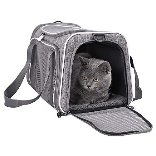 Book Cover petisfam Top Load Cat Carrier For Edium Cats, Collapsible And Escape Proof M Grey