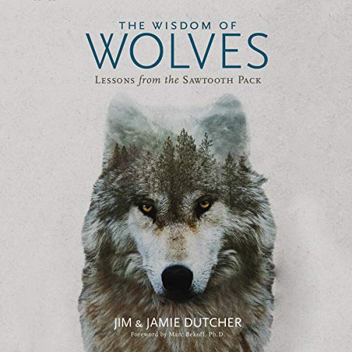 Book Cover The Wisdom of Wolves: Lessons from the Sawtooth Pack