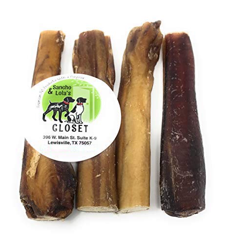 Book Cover Sancho & Lola's 6-Inch Jumbo Size Bully Sticks for Dogs 4-Count Made in USA - Small Batch Grain-Free Beef Pizzle Dog Chews