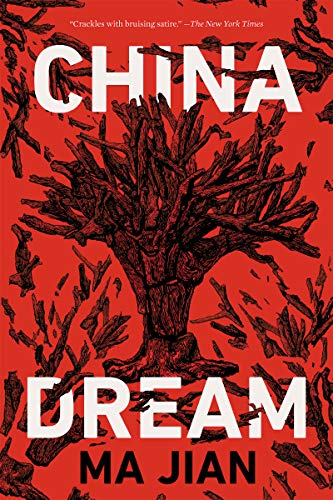 Book Cover China Dream