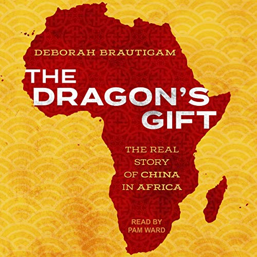 Book Cover The Dragon's Gift: The Real Story of China in Africa