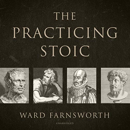Book Cover The Practicing Stoic