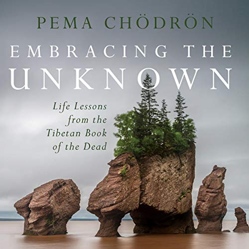 Book Cover Embracing the Unknown: Life Lessons from the Tibetan Book of the Dead