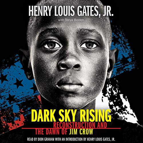 Book Cover Dark Sky Rising: Reconstruction and the Dawn of Jim Crow