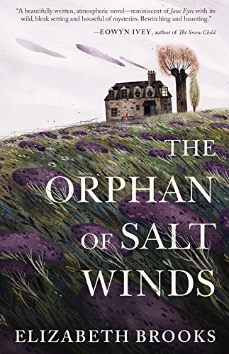 Book Cover The Orphan of Salt Winds