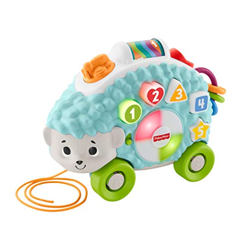 Book Cover Thomas & Friends Fisher-Price Linkimals Happy Shapes Hedgehog - Interactive Educational Toy with Music and Lights for Baby Ages 9 Months & Up, Multi Color