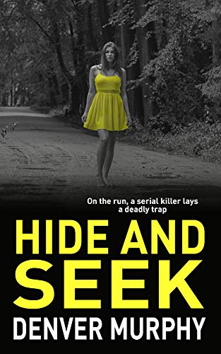 Book Cover HIDE AND SEEK: on the run, a serial killer lays a trap (The DSI Jeffrey Brandt Murders Trilogy Book 2)