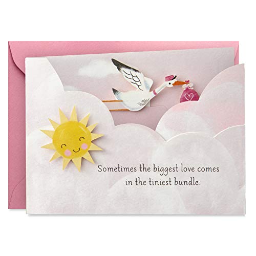 Book Cover Hallmark Paper Wonder Paper Craft Baby Shower Card for Baby Girl (Stork)