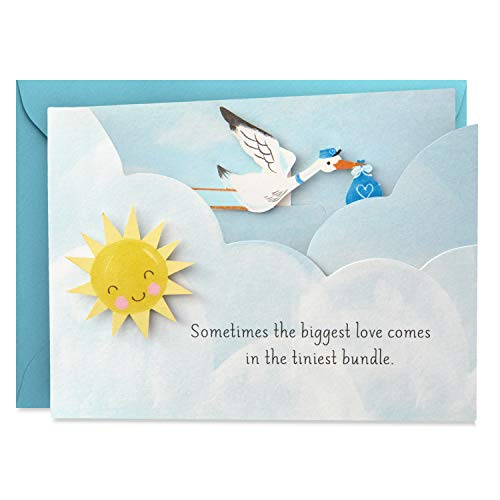 Book Cover Hallmark Paper Wonder Paper Craft Baby Shower Card for Baby Boy (Stork)