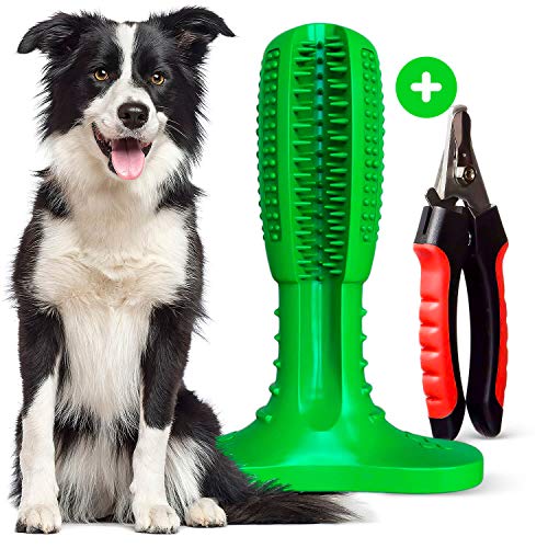 Book Cover DoggyDental Dog Toothbrush Chew Toy for Easy Teeth Cleaning with Nail Clippers for Grooming