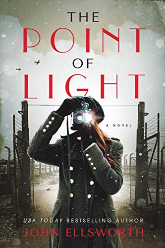 Book Cover The Point of Light (Historical Fiction Book 1)