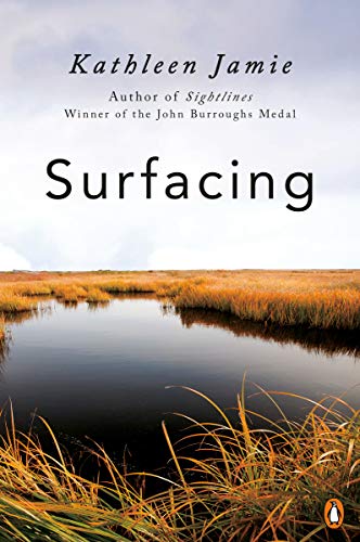 Book Cover Surfacing