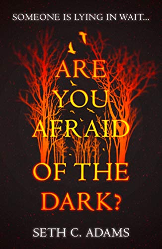 Book Cover Are You Afraid of the Dark?: A tense, gripping new thriller for 2019 which will keep you on the edge of your seat!