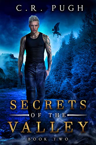 Book Cover Secrets of the Valley (Old Sequoia Valley Book 2)