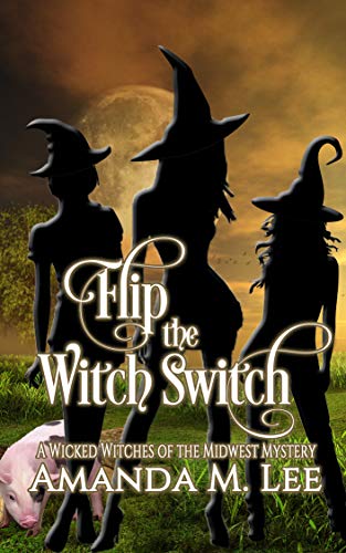 Book Cover Flip the Witch Switch (Wicked Witches of the Midwest Book 14)
