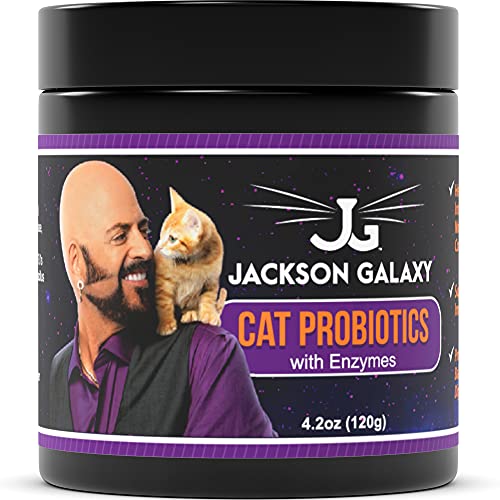 Book Cover Jackson Galaxy Cat Probiotics and Digestive Enzymes | Best Probiotic Powder for Cat Diarrhea, Vomiting Relief, Upset Stomach & Pet Allergies | Feline Probiotic Supplement | Kitten Treatment 4.2oz