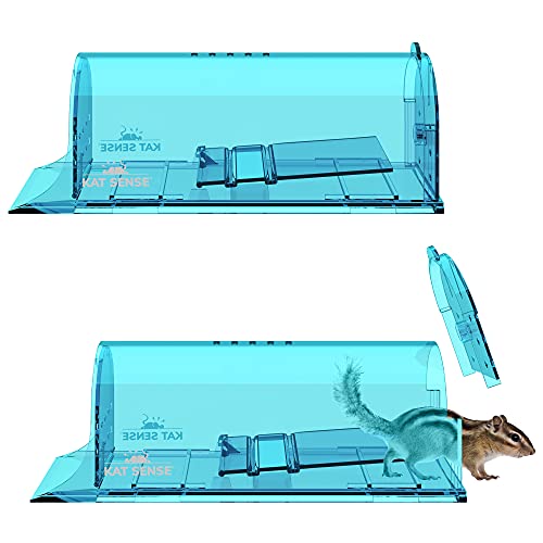 Book Cover Large Humane Rat Traps, Set of 2, Catch and Release Chipmunks Into The Wild, Cruelty Free, Live Capture Plank Trap, Smart No Kill Rodent House Cage, A Friendly Pest Control Solution