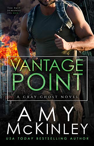 Book Cover Vantage Point (GRAY GHOST SERIES Book 4)