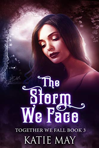 Book Cover The Storm We Face (Together We Fall Book 3)