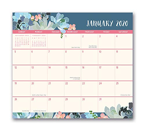 Book Cover Orange Circle Studio 2020 Magnetic Monthly Calendar Pad, August 2019 - December 2020, Succulent Paradise
