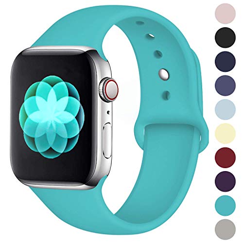Book Cover ilopee Sport Band Compatible with Apple Watch 42mm 44mm, Waterproof Replacement Strap for iWatch Series 5 4 3 2 1 for Women Men, Teal, S/M