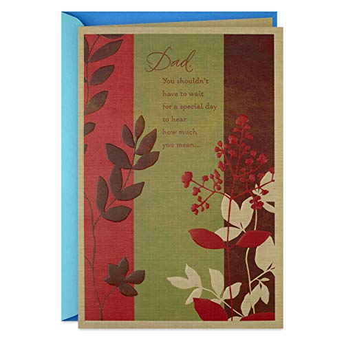 Book Cover Hallmark Fathers Day Card for Dad (Special Day)