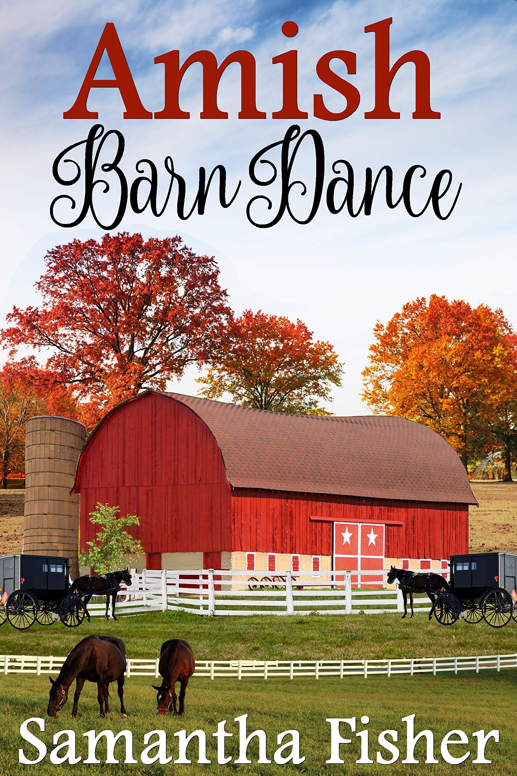 Book Cover Amish Barn Dance (Amish Homestead Book 2)