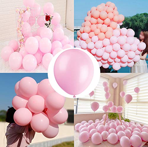 Book Cover Pastel Pink Balloons 10 inch 100pcs Macaron Pink Candy Colored Latex Balloons for Party Birthday Wedding Anniversary or any Party Decorations-pastel pink