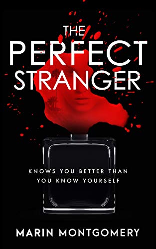 Book Cover The Perfect Stranger