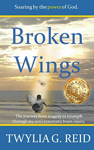 Book Cover Broken Wings: The journey from tragedy to triumph through my son's traumatic brain injury.