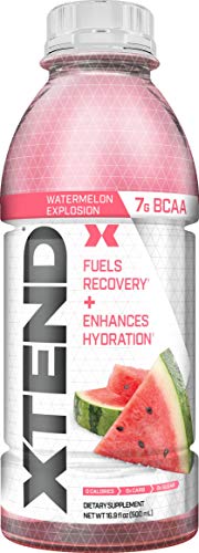 Book Cover XTEND On The Go, Branched Chain Amino Acids, Bcaas, Zero Sugar Hydration & Muscle Recovery Drink with Electrolytes, Watermelon Explosion, 16.9 Oz Bottles (Pack of 12)