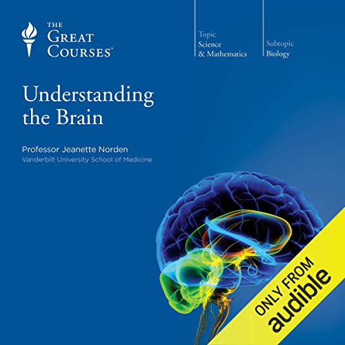 Book Cover Understanding the Brain