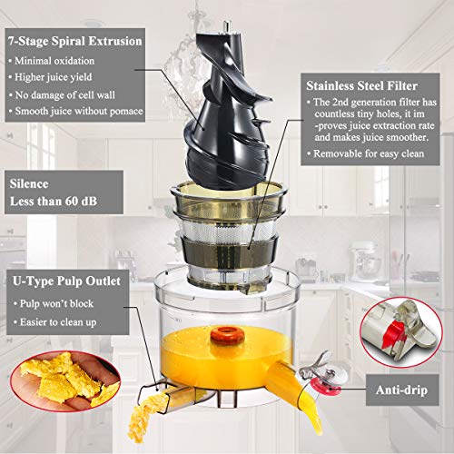 Book Cover Masticating Juicer Machines, Hethtec Cold Press Juice Extractor with Large Dual-Chute and Clean Brush for Fruits and Vegetables, High Yield, BPA-Free, 60R/M, 150W