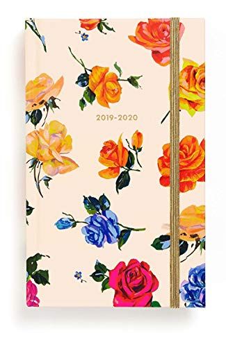 Book Cover Ban.do 17 Month 2019-2020 Classic Daily Planner with Weekly & Monthly Views, 8.13
