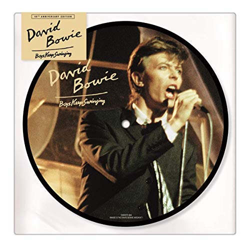 Book Cover Boys Keep Swinging (40th Anniversary Picture Disc) [7