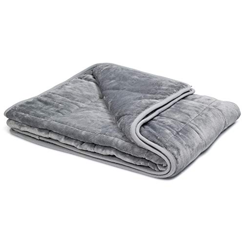 Book Cover Bell+Howell Weighted Blanket Super Soft and Plush 41 x 60 Couch Version, with Non-Toxic Glass Beads 10 pounds (Grey)