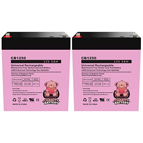 Book Cover Charity Battery CB1250 12V 5Ah SLA Battery Replacement for Razor E150 Electric Scooter- 2 Pack