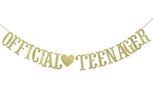 Book Cover Official Teenager Banner Hanging Garland for 13th Birthday Party Photo Prop Party Decoration Sign (Gold Glitter)