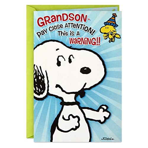 Book Cover Hallmark Peanuts Pop Up Birthday Card for Grandson (Birthday Hug)