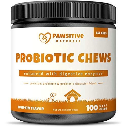 Book Cover Probiotics for Dogs - 100 Soft Chew Bites - Natural Prebiotics with Probiotic Treats - Relieves Dog Constipation & Diarrhea, Improves Digestion, Allergy, Hot Spots, Immunity & Health
