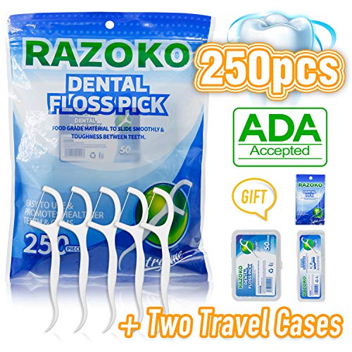 Book Cover Dental Floss Picks High Toughness Toothpicks Sticks 250PCS with Portable Case and Dental Picks Perfect for Family,Hotel,Travel