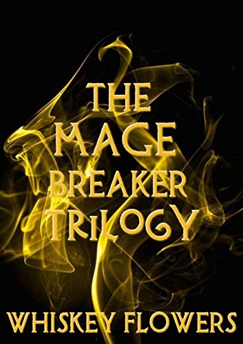 Book Cover The Mage Breaker