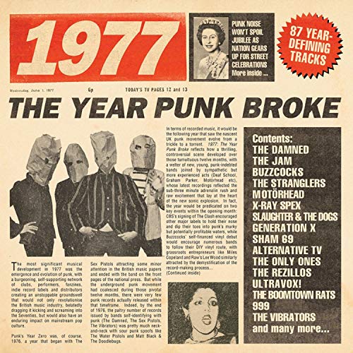 Book Cover 1977 - The Year Punk Broke