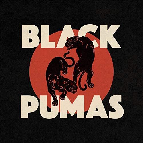 Book Cover Black Pumas