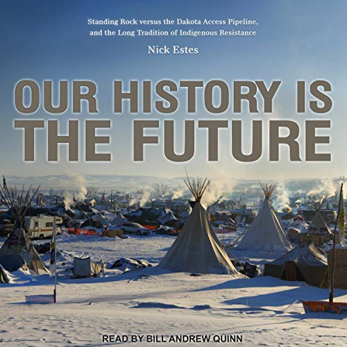 Book Cover Our History Is the Future: Standing Rock Versus the Dakota Access Pipeline, and the Long Tradition of Indigenous Resistance