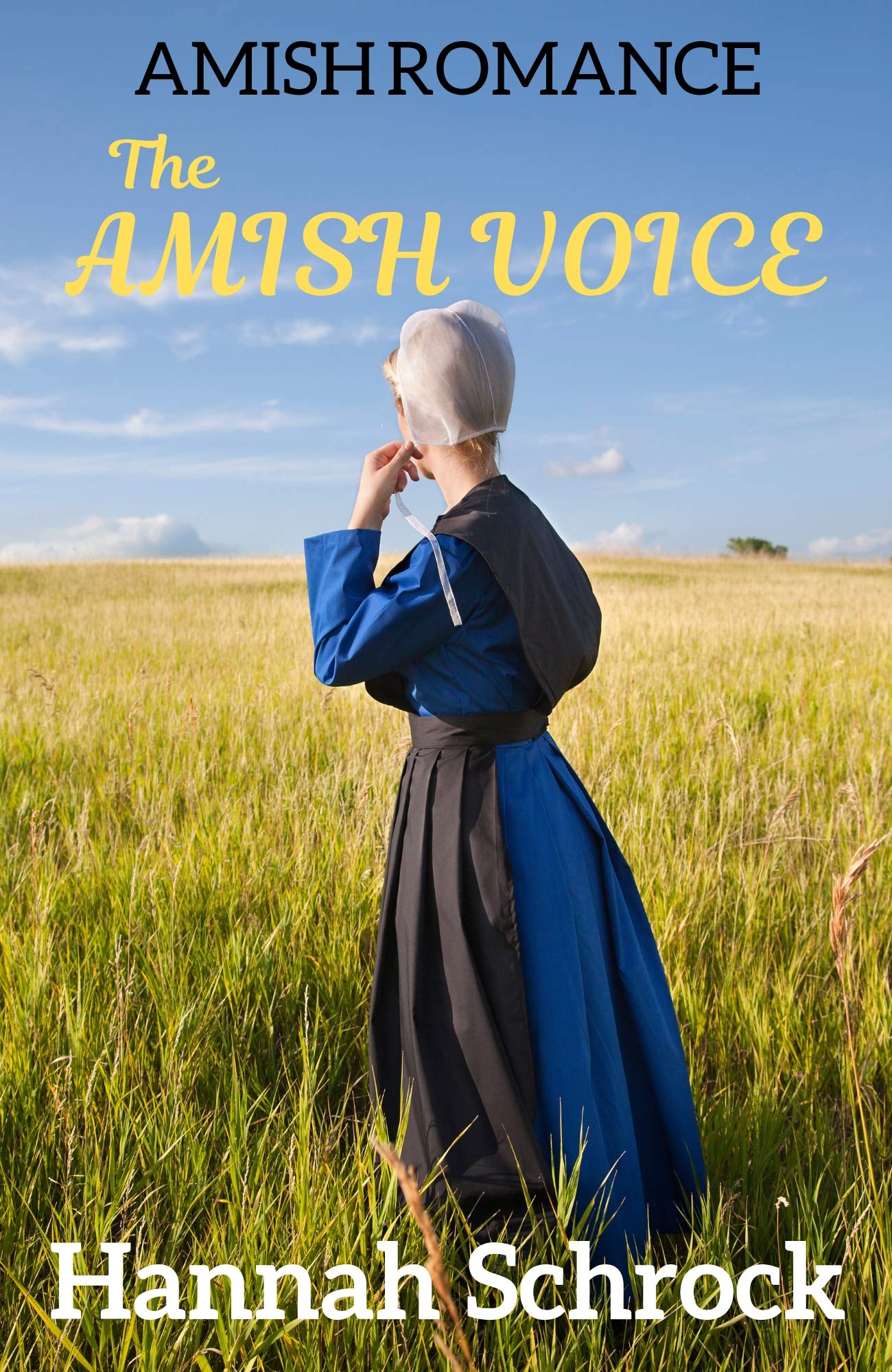 Book Cover The Amish Voice