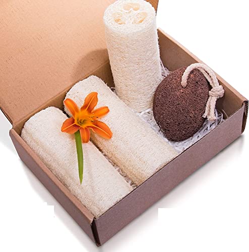 Book Cover Exfoliating Natural Loofah Sponges for Body - Organic Luffa Lofa Loufa Loofa Sponges Scrubber for Bathing and Shower - Set of 3 pack + Lava Pumice Stone