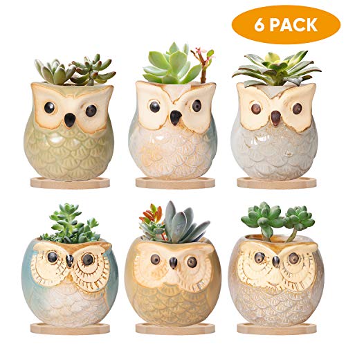 Book Cover 2 Inch Owl Pot,Ceramic Succulent Pot with Drinage,Small Planter Pot with Hole,Mini Flower Pot Flowing Glaze Base Serial Set with Baboo Tray, Plant Container Cactus Planter 6 Pack